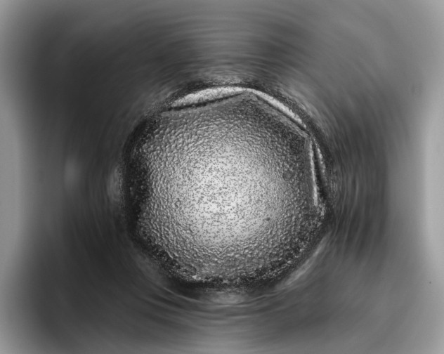 X0000095930359200801251054