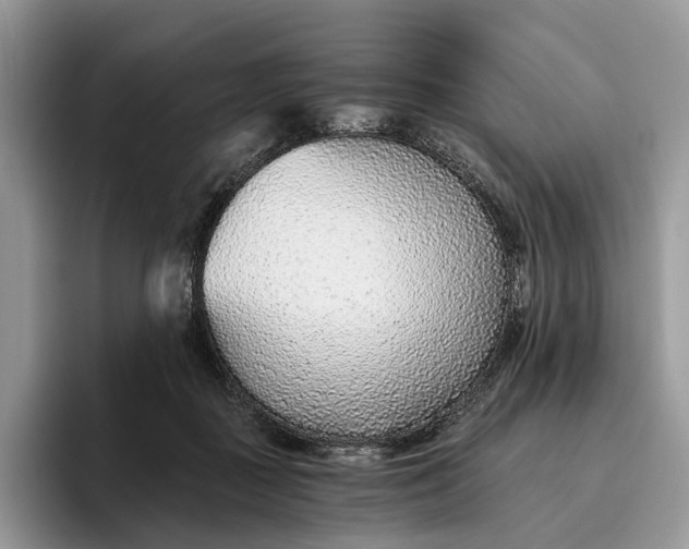 X0000095930363200801251054