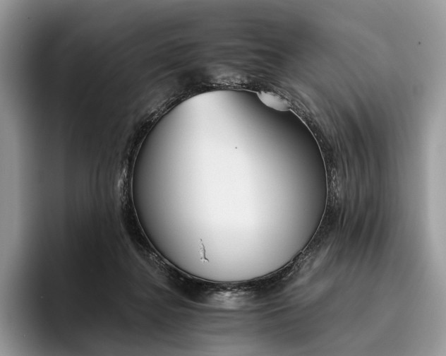 X0000095930364200801251054