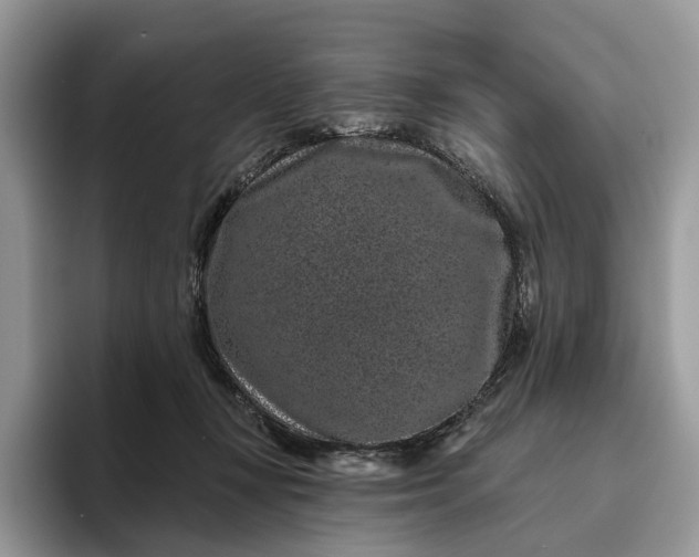 X0000095930367200801251054