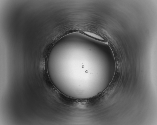 X0000095930368200801251054