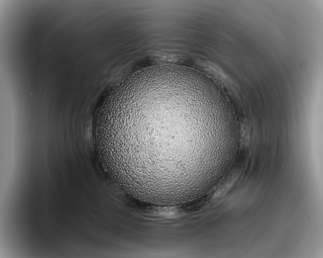X0000095930377200801251054