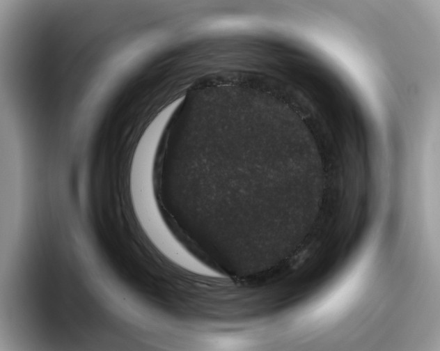 X0000095930382200801251055