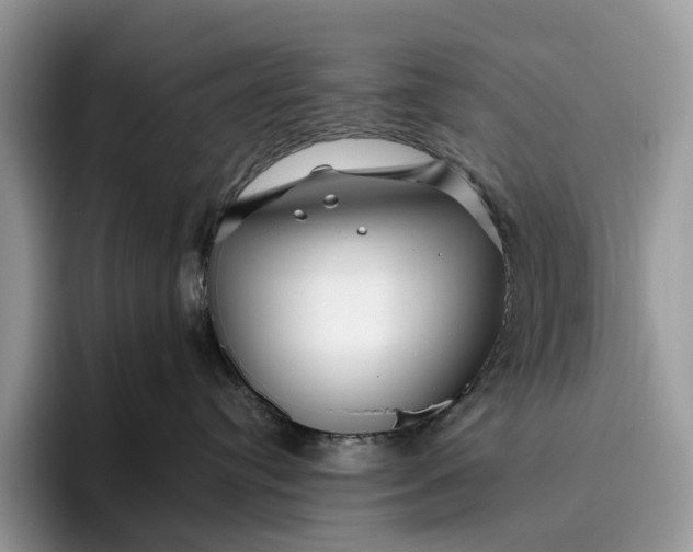 X0000095930384200801251055