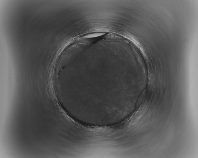 X0000095930385200801251054