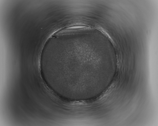 X0000095930386200801251054