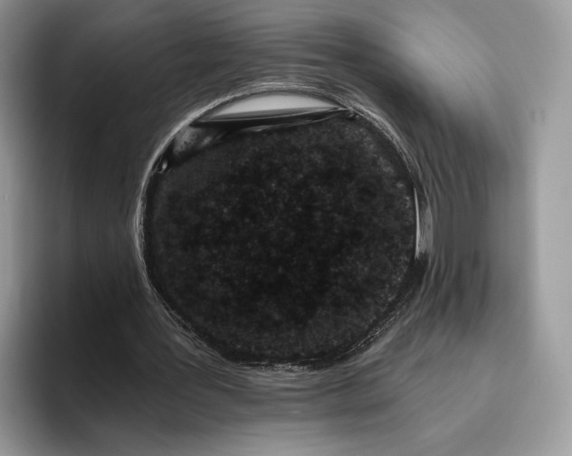 X0000095930387200801251054