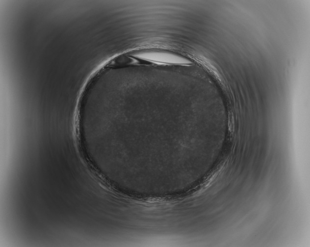 X0000095930388200801251054