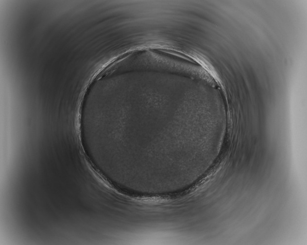 X0000095930389200801251054