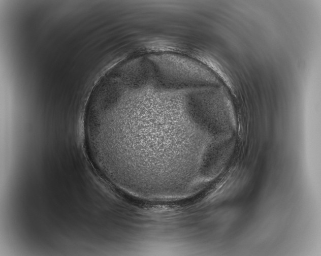X0000095930390200801251054