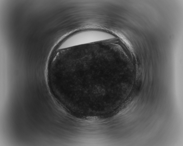 X0000095930391200801251054