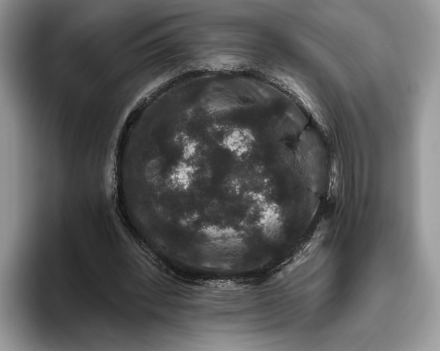 X0000095930392200801251054