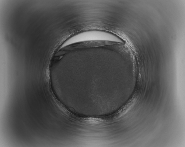 X0000095930393200801251054