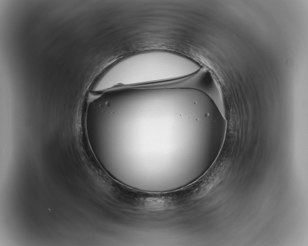 X0000095930394200801251054