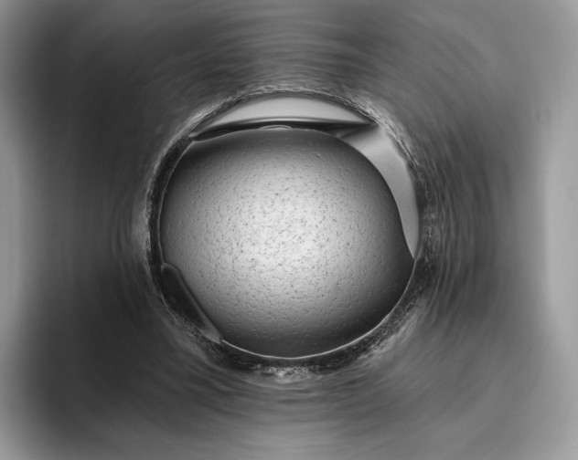 X0000095930395200801251054