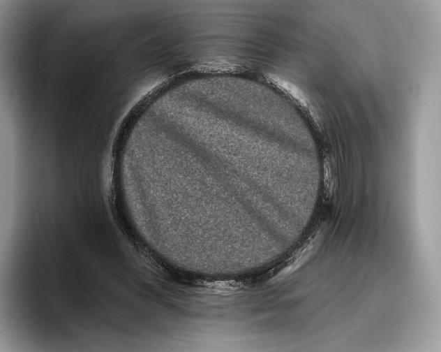 X0000095930396200801251054