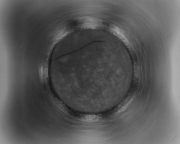 X0000095930399200801251054