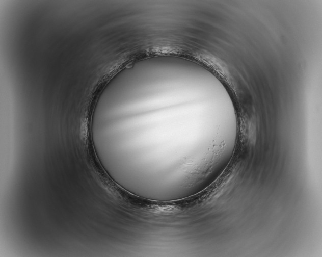 X0000095930401200801251054