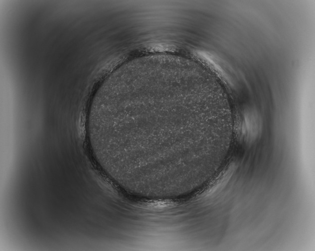X0000095930402200801251054