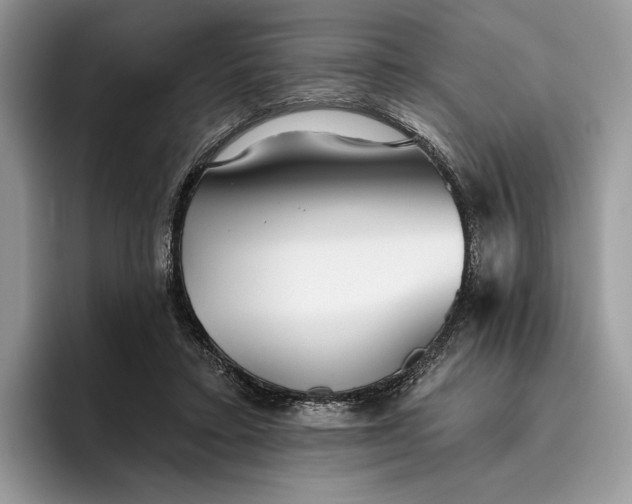 X0000095930403200801251054