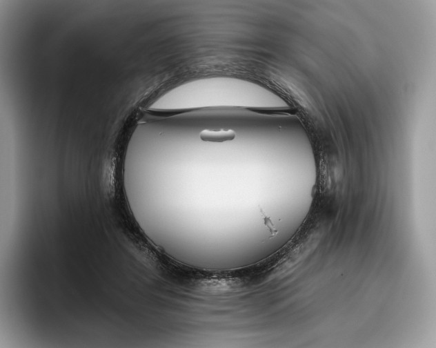 X0000095930404200801251054