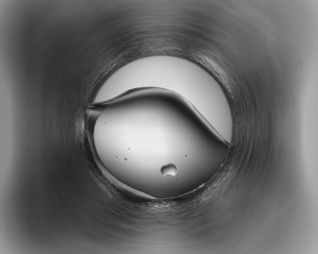 X0000095930405200801251054