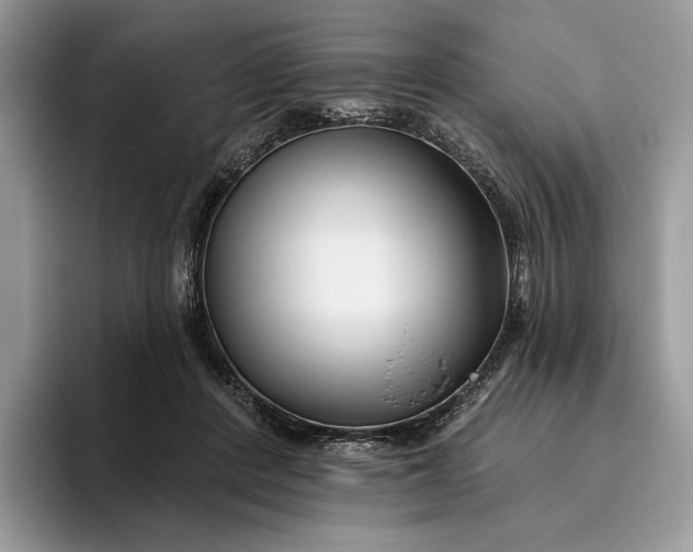 X0000095930408200801251054