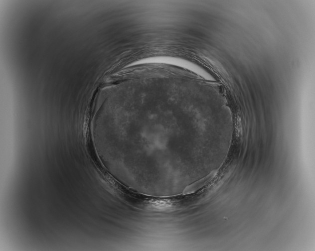 X0000095930409200801251054