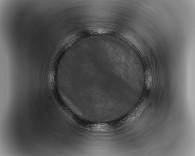 X0000095930410200801251054