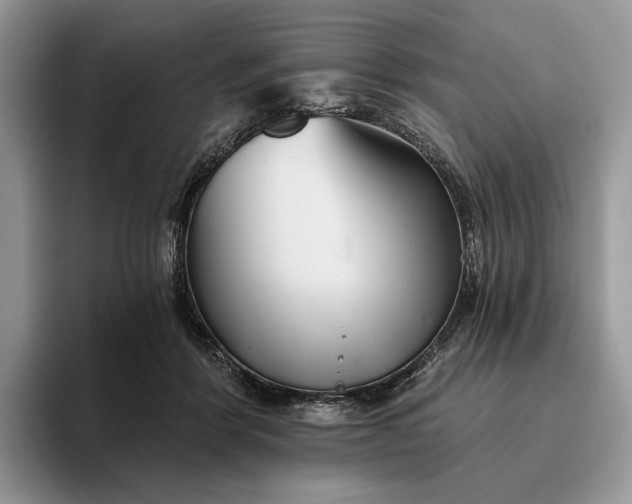 X0000095930412200801251054