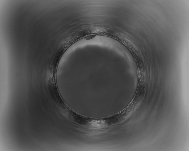 X0000095930415200801251054