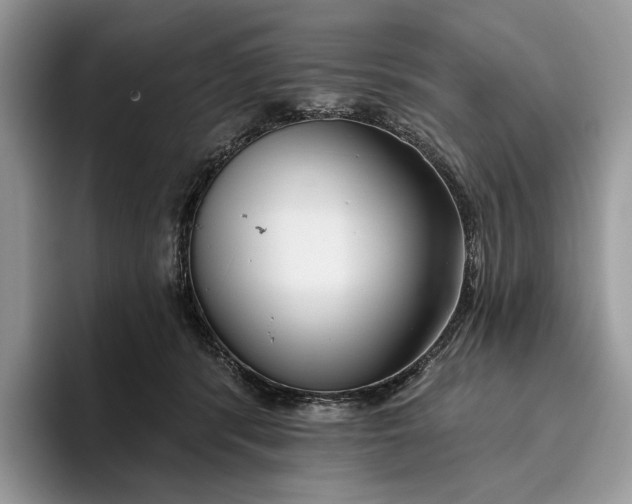X0000095930416200801251054