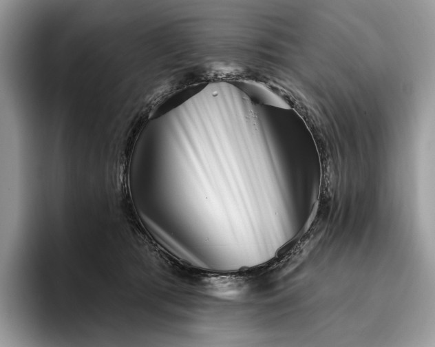 X0000095930417200801251054