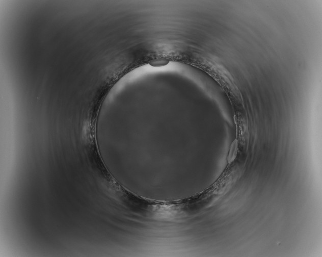 X0000095930419200801251054