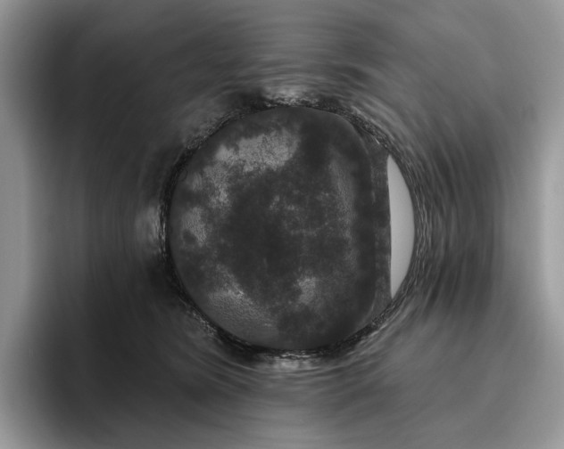 X0000095930420200801251054