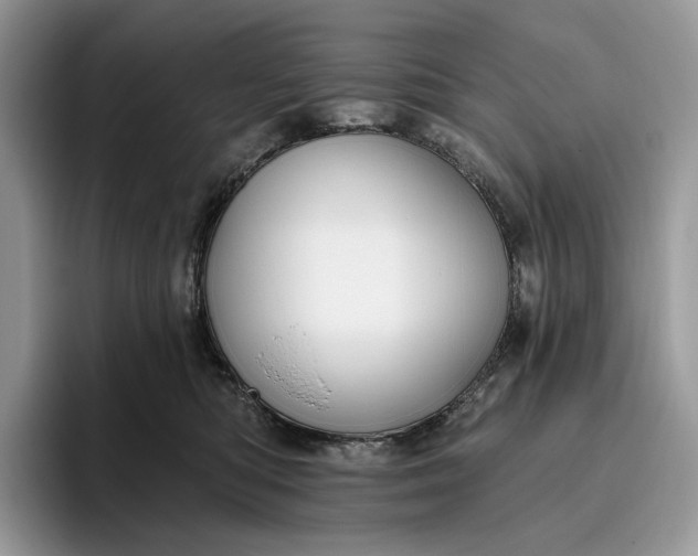 X0000095930422200801251053