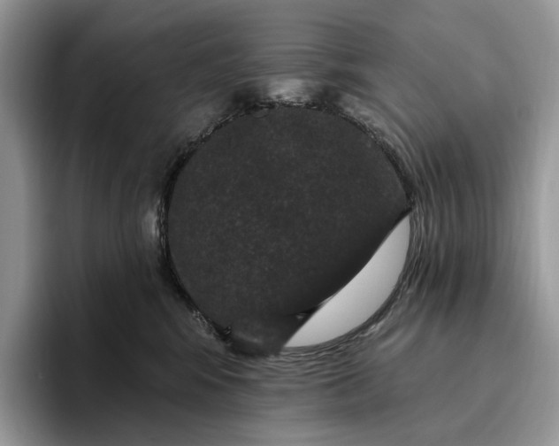 X0000095930424200801251053