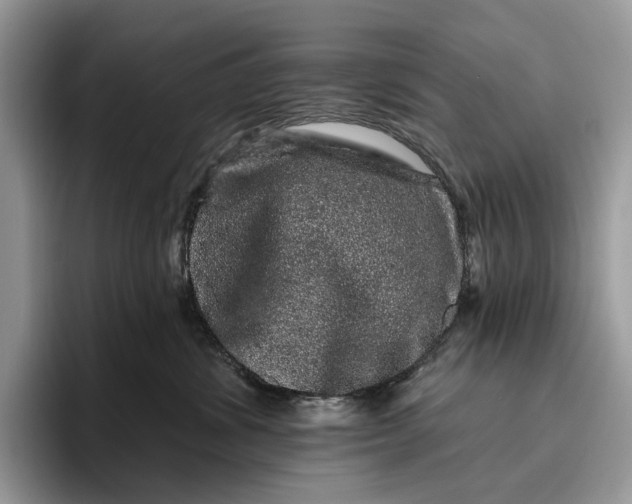 X0000095930428200801251053
