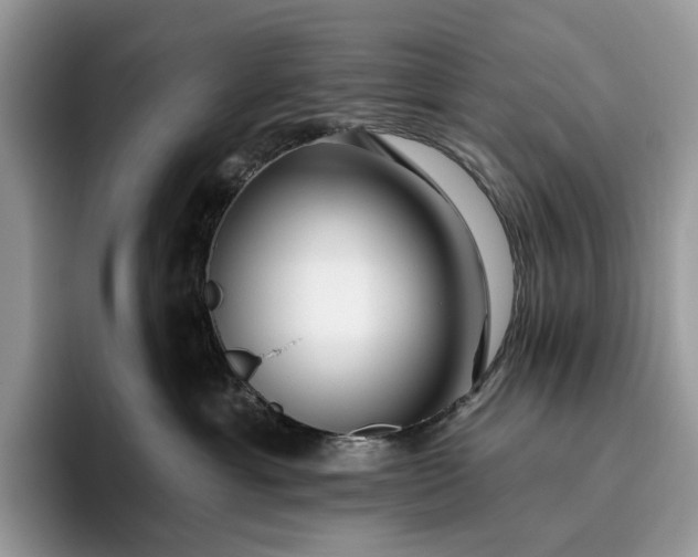 X0000095930429200801251053