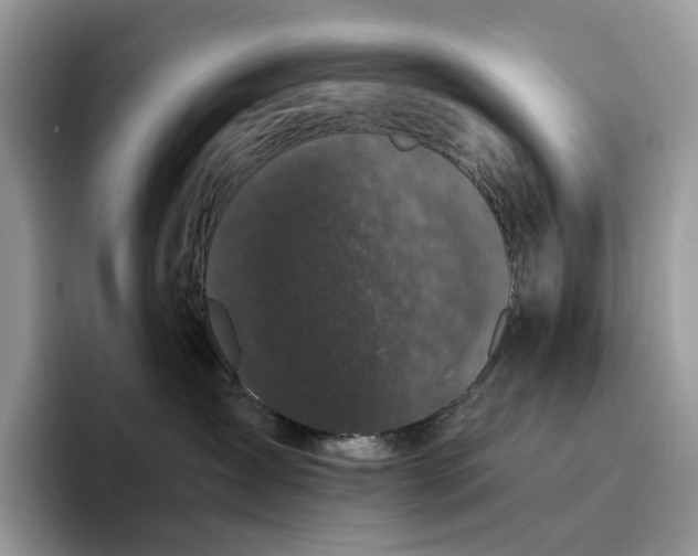 X0000095930431200801251053