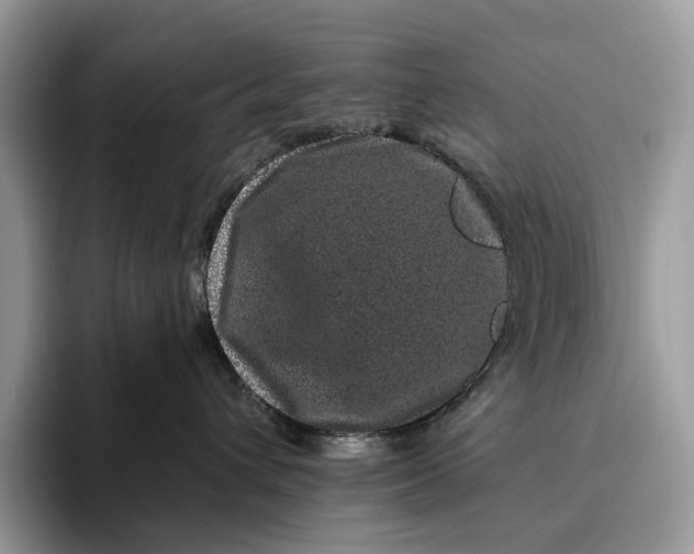 X0000095930432200801251053