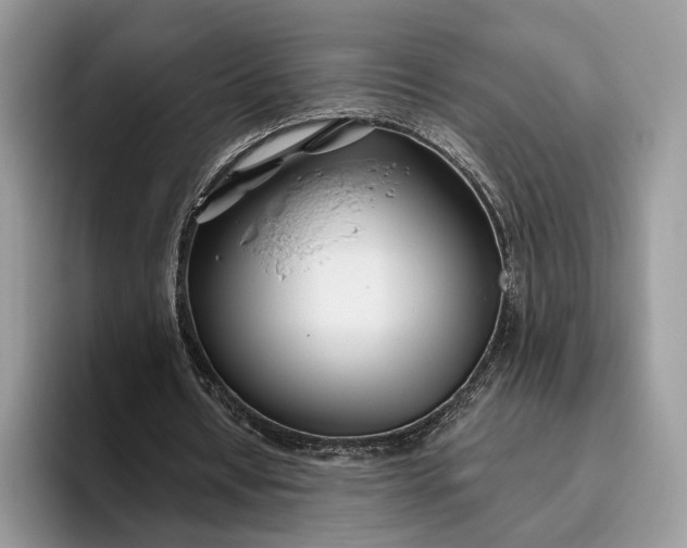 X0000095930434200801251053