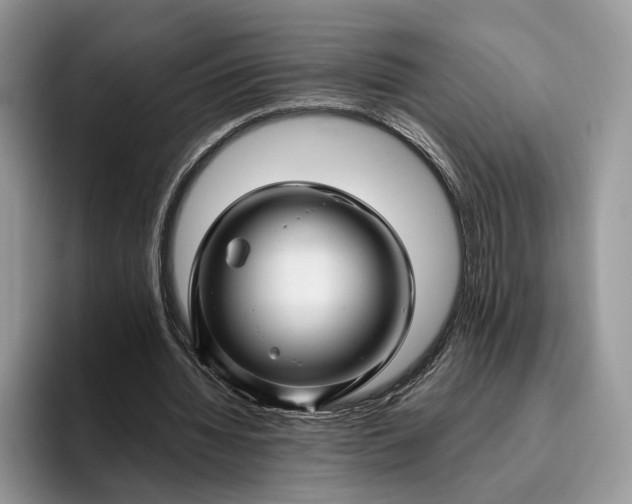 X0000095930436200801251053