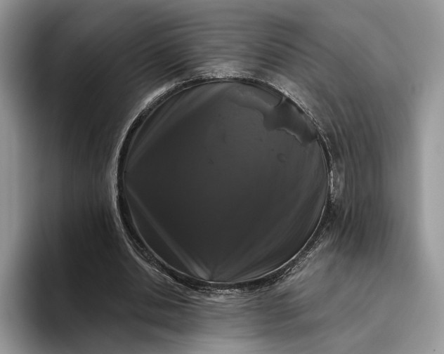 X0000095930438200801251053