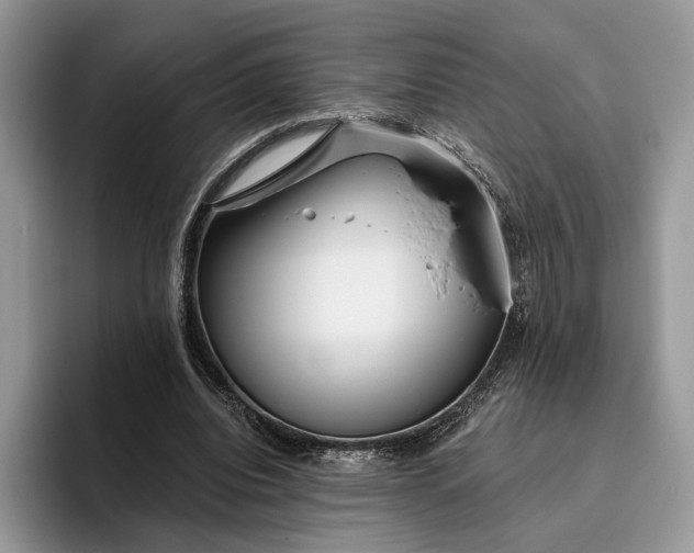 X0000095930440200801251053