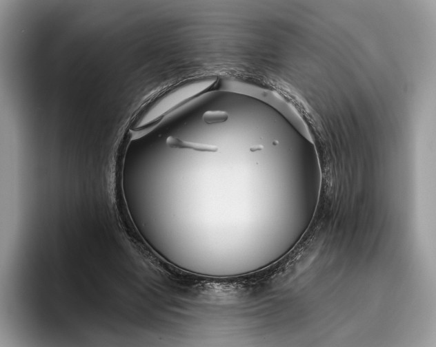 X0000095930442200801251053