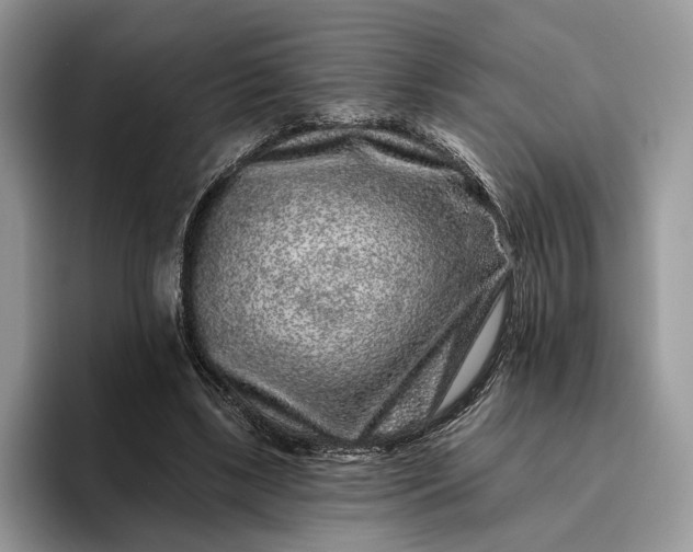X0000095930443200801251053