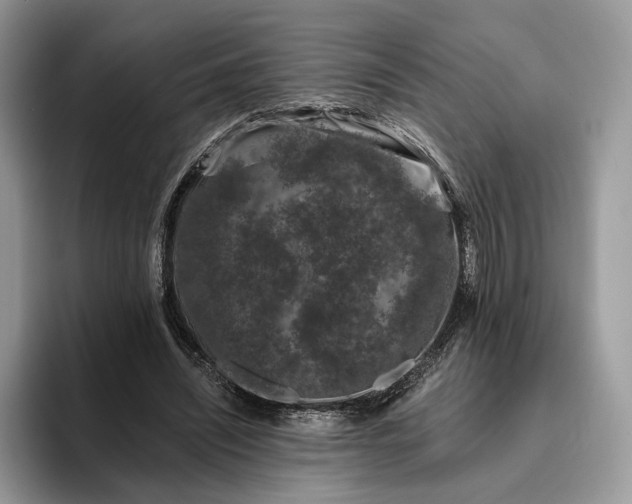X0000095930444200801251053
