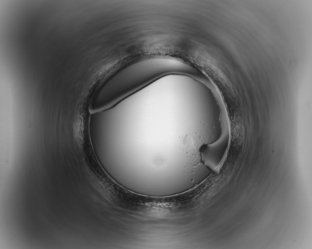 X0000095930448200801251053
