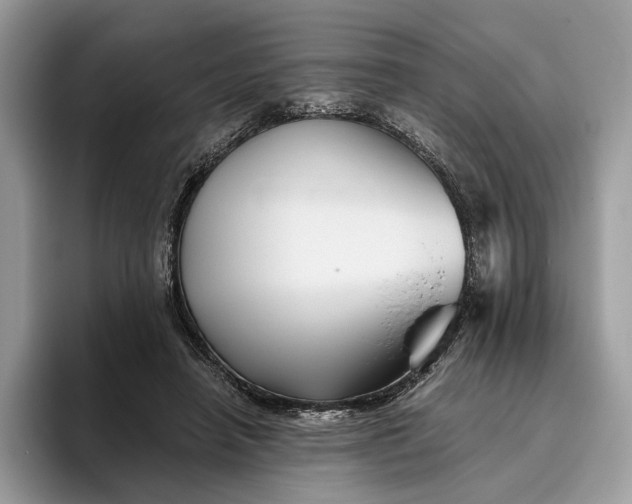 X0000095930450200801251053